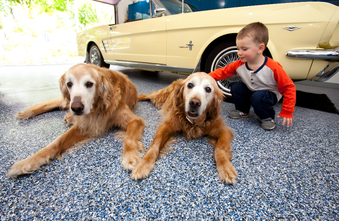 boy-with-dogs-1-scaled boy-with-dogs-1-scaled
